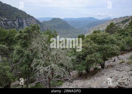 Valldemossa, Espagne - 11 juin 2023 : sentiers de randonnée sur le GR221 dans les montagnes de Tramontana, Majorque Banque D'Images