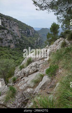 Valldemossa, Espagne - 11 juin 2023 : sentiers de randonnée sur le GR221 dans les montagnes de Tramontana, Majorque Banque D'Images