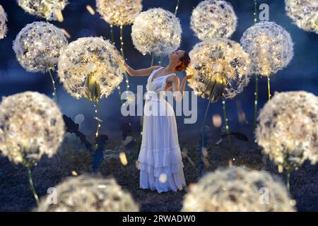 Belle ballerine avec pissenlits géants avec des lumières Banque D'Images