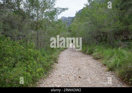 Valldemossa, Espagne - 11 juin 2023 : sentiers de randonnée sur le GR221 dans les montagnes de Tramontana, Majorque Banque D'Images