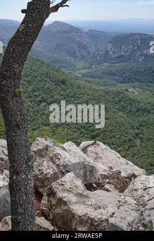 Esporles, Espagne - 11 juin 2023 : vues sur les montagnes de Tramuntana depuis le sentier GR221, Esporles, Majorque Banque D'Images