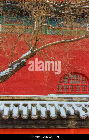 Explorez la beauté enchanteresse des divers paysages de neige à travers la Chine, où chaque vue raconte une histoire unique de l'attrait de l'hiver Banque D'Images