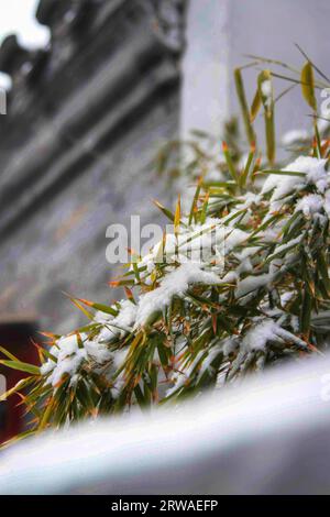 Explorez la beauté enchanteresse des divers paysages de neige à travers la Chine, où chaque vue raconte une histoire unique de l'attrait de l'hiver Banque D'Images