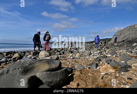 Les gens recherchent des fossiles sur la côte jurassique parmi les roches révélant à Charmouth, Dorset, Royaume-Uni. Banque D'Images