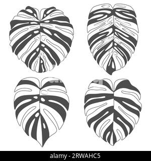 Ensemble d'illustrations en noir et blanc avec des feuilles de plante monstera creeper. Objets vectoriels isolés sur fond blanc. Illustration de Vecteur