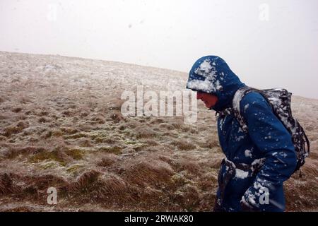 Homme marchant sur le chemin dans un lizzard de neige à Ingleborough l'un des trois pics du Yorkshire, parc national des Yorkshire Dales, Angleterre, Royaume-Uni Banque D'Images