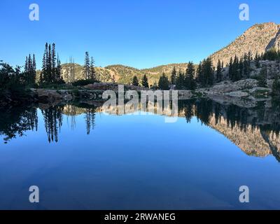 Reflets de la montagne Wasatch dans le lac Cecret, Alta, Utah, USA Banque D'Images