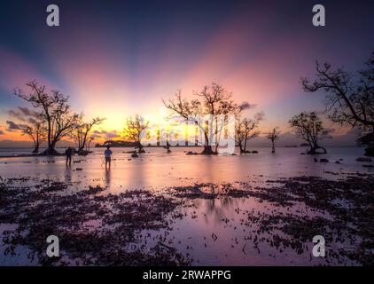 Vue arrière de deux photographes prenant des photos au lever du soleil, Elyora Beach, Batam, Riau, Indonésie Banque D'Images