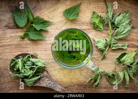 Vue ci-dessus de la tisane à base d'Urtica dioica sec, connu sous le nom d'ortie commune, brûler l'ortie ou piquer les feuilles d'ortie dans une tasse en verre transparent. Planche de bois. Banque D'Images