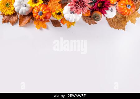 Vacances d'automne et fond de vente. Carte de voeux pour Thanksgiving. Citrouilles multicolores, feuilles et fleurs d'automne, cônes de glands, décor sur un blanc Banque D'Images