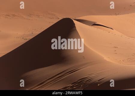 Dunes au coucher du soleil dans le désert du Sahara Banque D'Images