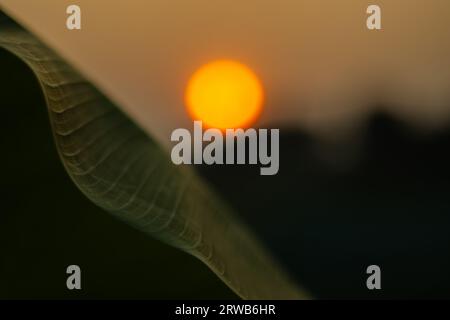 Quand les nuages du coucher du soleil sont dorés. Profitez d'une soirée au coucher du soleil. Nous rêvons tous d'un début de soirée de détente devant un coucher de soleil parfait pendant les vacances Banque D'Images