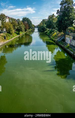 Grünalgen am Landwehrkanal, Kielufer, Berlin, Alt-Treptow Banque D'Images