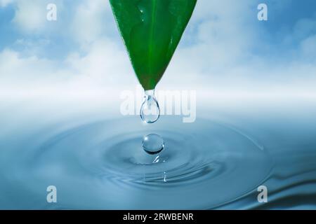 Une gouttelette d'eau tombant de la feuille verte dans un plan d'eau tranquille, créant des ondulations et des éclaboussures Banque D'Images