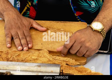 Procédé de fabrication de cigares traditionnels à partir de feuilles de tabac avec les mains à l'aide d'un dispositif mécanique et d'une presse. Feuilles de tabac pour la fabrication de cigares. Gros plan Banque D'Images