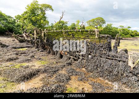 Le chalutier Lowestoft 'Helping Hand' (construit en 1921) a été installé dans la piscine Black Mizen Pool en 1969 à Lawrenny dans le parc national de la côte du Pembrokeshire, au Royaume-Uni Banque D'Images