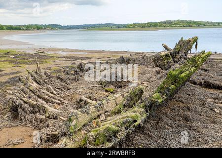 Les restes du chalutier Lowestoft 'Helping Hand' (construit en 1921) déposés dans le Black Mizen Pool en 1969 à Lawrenny dans le Pembrokeshire Coast National P Banque D'Images