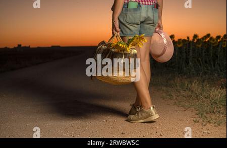 Femelle méconnaissable avec panier plein de tournesols et chapeau de paille marchant sur le chemin en soirée heure d'été près du champ Banque D'Images