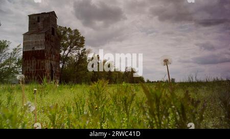 Majestueux moulin à grains, abandonné, dans un pré de fleurs sauvages des prairies avec des tempêtes en développement au printemps. Banque D'Images