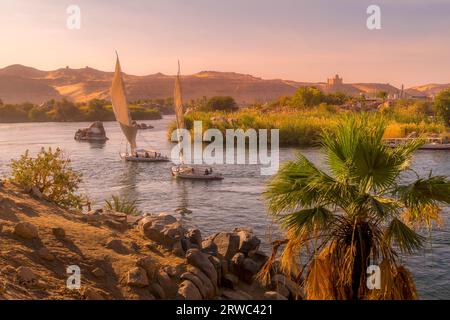 Bateaux naviguant dans le Nil pendant le coucher du soleil à Assouan, Egypte. Banque D'Images