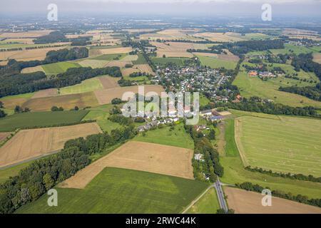 Vue aérienne, Schürenfeld prairies et champs et Unnaer Straße à Strickherdicke, Dellwig, Fröndenberg, région de la Ruhr, Rhénanie du Nord-Westphalie, Banque D'Images