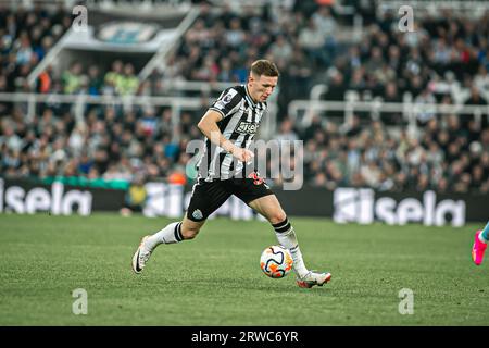 Newcastle upon Tyne, Royaume-Uni. 16 septembre 2023. St. James Park NEWCASTLE UPON TYNE, ANGLETERRE - 16 SEPTEMBRE : Elliot Anderson de Newcastle lors du match de Premier League entre Newcastle United et Brentford FC à St. James Park le 16 septembre 2023 à Newcastle upon Tyne, Angleterre. (Photo Danilo Fernandes/SPP) (Danilo Fernandes/SPP) crédit : photo de presse SPP Sport. /Alamy Live News Banque D'Images