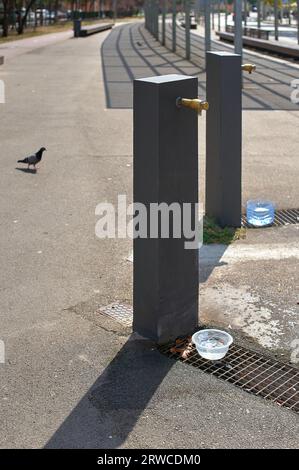 Fontaine publique dans le parc avec des récipients d'eau pour étancher la soif de tous les animaux qui s'arrêtent pour boire. Banque D'Images