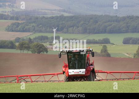 Un pulvérisateur agricole Bateman 4000 opérant dans un champ d'orge de printemps en été dans l'Aberdeenshire Banque D'Images