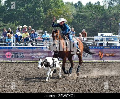 EMPORIA, KANSAS - 17 SEPTEMBRE 2023 lors de l'événement de cordage de veau Stone Newell d'Oskaloosa monte son cheval et lassonne le veau au sol, puis attache les jambes ensemble Banque D'Images