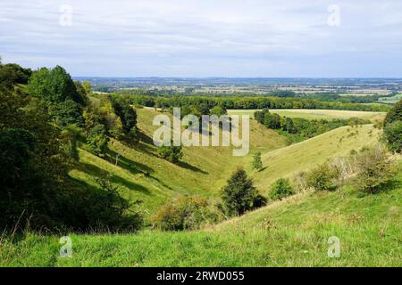 Réserve naturelle de Pegsdon Hills Banque D'Images