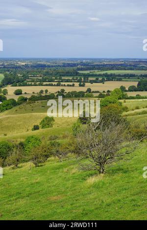 Réserve naturelle de Pegsdon Hills Banque D'Images