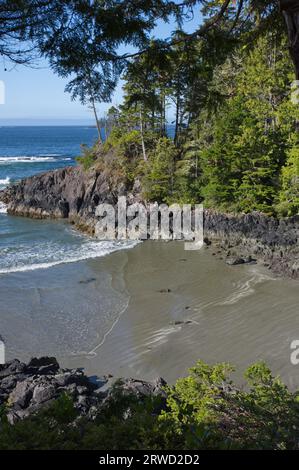 Les vagues océaniques se brisent sur la plage Mackenzie près de Tofino, C.-B., Canada. Banque D'Images