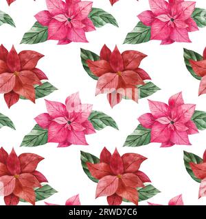 Aquarelle motif sans couture de fleurs de poinsettia en rouge et rose avec des feuilles vertes vibrantes. Clipart isolé pour la conception de Noël, impressions, emballage Banque D'Images