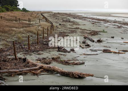 Inondations, Nelson, Nouvelle-Zélande Banque D'Images