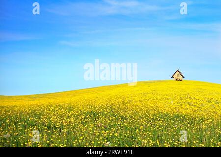 Cabane en bois sur prairie fleurie en été, collage Banque D'Images