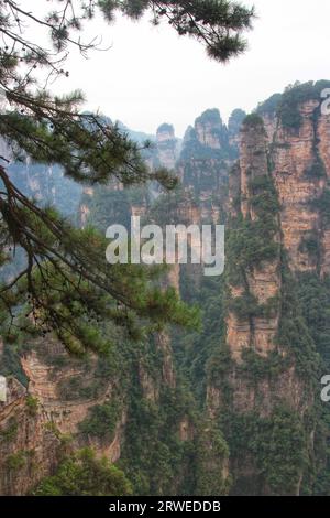 Plongez-vous dans la beauté époustouflante des montagnes chinoises ressemblant à l'Avatar, un Royaume majestueux de sommets époustouflants et de la grandeur de la nature Banque D'Images