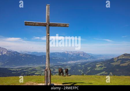 Troupeau de chevaux au sommet de la croix sur le Trattberg avec une vue sur la vallée de Salzach, Osterhorn Group, Salzkammergut, Tennengau, Land Salzburg Banque D'Images