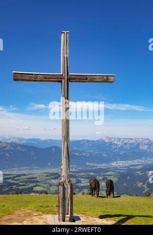 Troupeau de chevaux au sommet de la croix sur le Trattberg avec une vue sur la vallée de Salzach, Osterhorn Group, Salzkammergut, Tennengau, Land Salzburg Banque D'Images