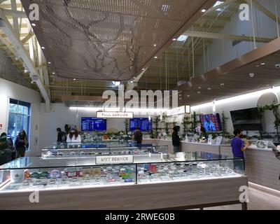 Oakland, États-Unis. 17 septembre 2023. Magasin de cannabis 'Root'd in the 510'. En Californie, le business avec l'or vert est florissant, il y a un vrai tourisme cannabis. Crédit : Barbara Munker/dpa/Alamy Live News Banque D'Images