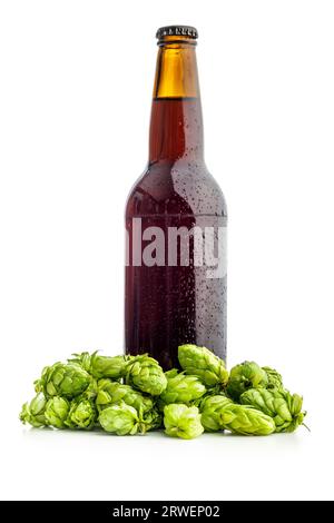 Bouteille de bière et plante de houblon vert isolée sur le fond blanc. Banque D'Images