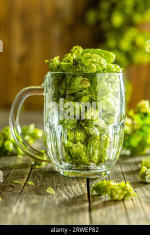 Le houblon vert récolte dans un verre à bière sur la table en bois. Banque D'Images