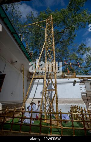 Les femmes prient à côté de l'échafaudage doré qui soutient les branches de l'arbre Sri Maha Bodhi adjacent à Mahavihara à Anuradhapura au Sri Lanka. Banque D'Images