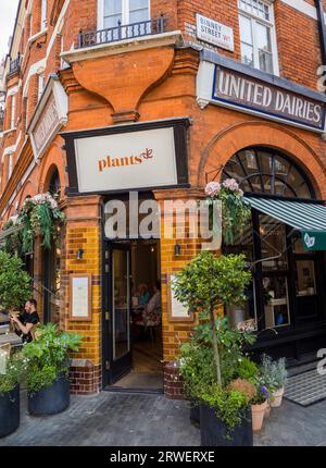 Alimentation à base de plantes, délicieusement Ella, plantes, Restaurant, Londres, Angleterre, Royaume-Uni, GB. Banque D'Images