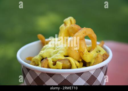 Bol en carton avec pommes de terre en spirale frites et sauce au curry dans un stand de nourriture lors d'un festival en plein air, espace de copie, foyer sélectionné, profondeur de champ étroite Banque D'Images