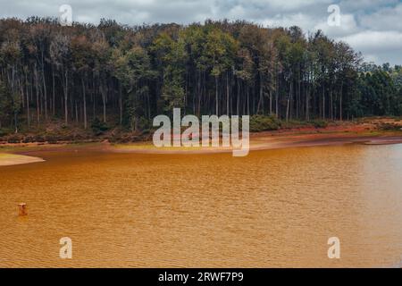 Vue panoramique d'un barrage d'eau au milieu d'une forêt de pins dans la forêt de Mbooni dans le comté de Makunei, Kenya Banque D'Images