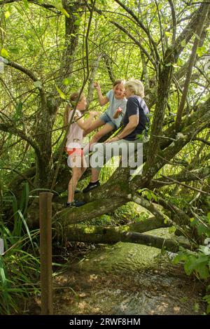 grand-mère grimpant dans un arbre avec des petits-enfants, des filles, ayant une aventure hors des portes dans la campagne Banque D'Images