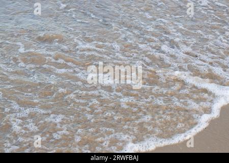 Gros plan d'une petite vague atteignant une plage de sable clair sans baigneurs Banque D'Images