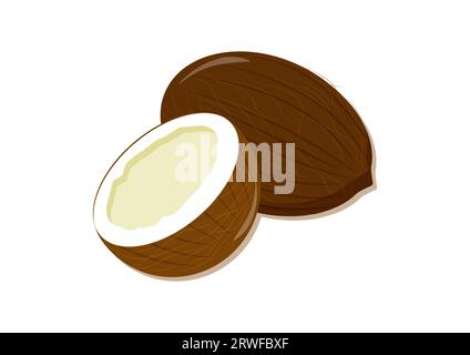 Illustration vectorielle de noix de coco et demi noix de coco isolé sur fond blanc Illustration de Vecteur