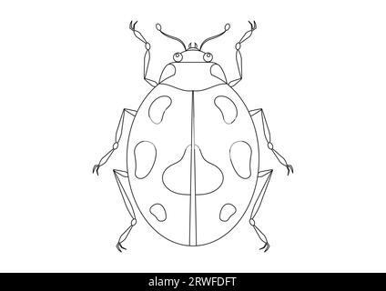 Clipart vectoriel de Beetle noir et blanc. Coloriage d'une Coccinelle Illustration de Vecteur