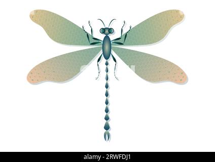 Dragonfly Vector Art isolé sur fond blanc Illustration de Vecteur